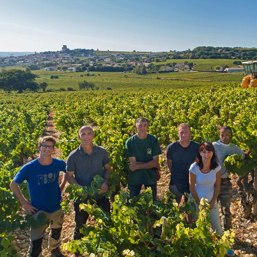 L'équipe du Domaine des Sénéchaux dans le vignoble