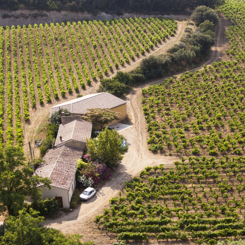 Vue aérienne du vignoble du Domaine des Sénéchaux