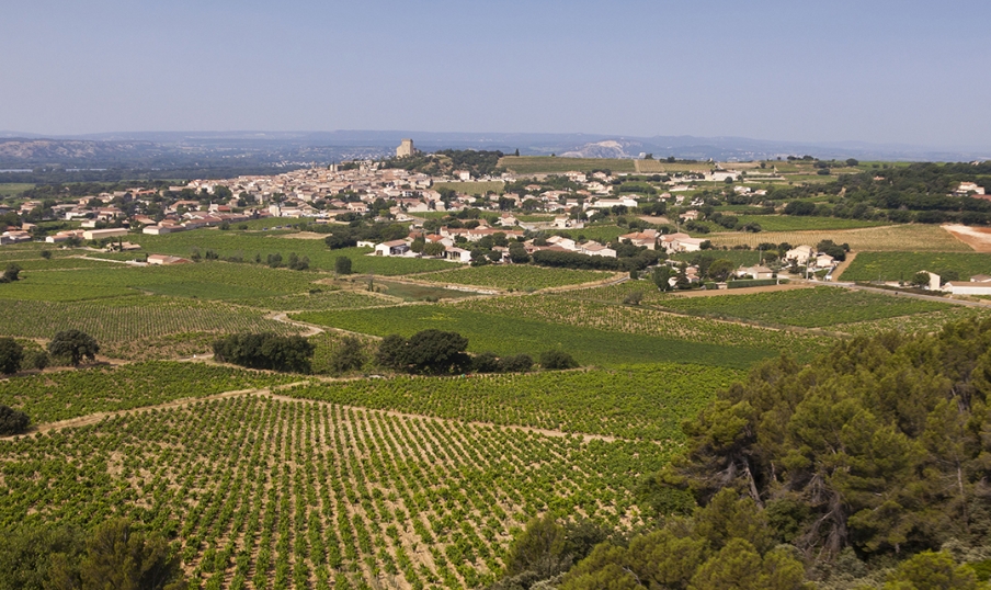 Photo aérienne vignoble et village